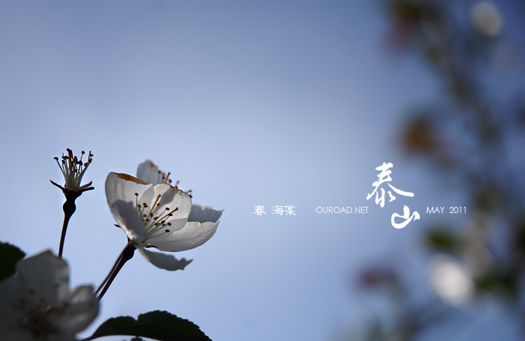 taishan_004.jpg