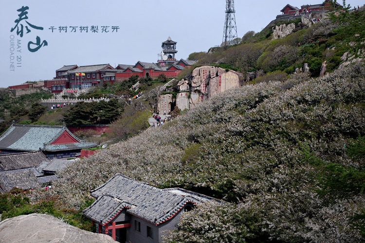 taishan_017.jpg