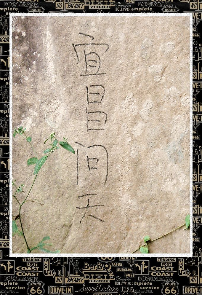 dsc00322.jpg