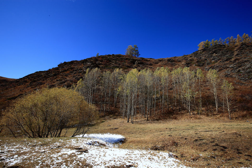 img_4946.jpg