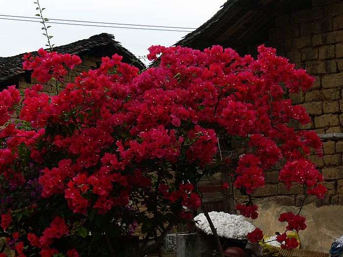 p1170204.jpg