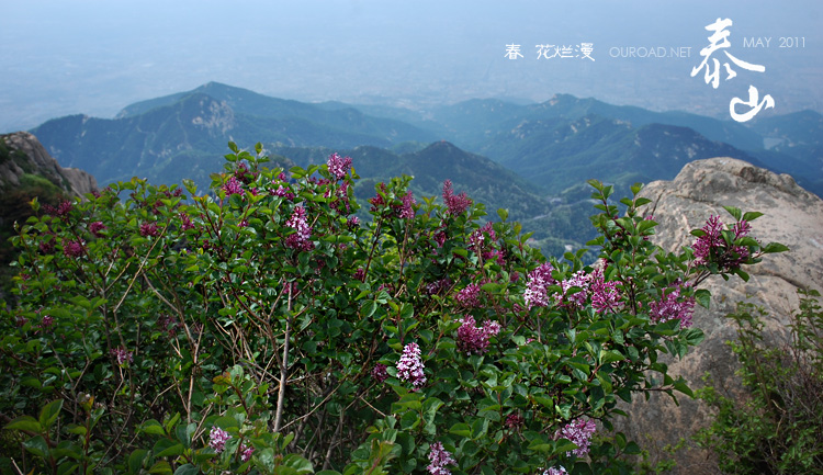 taishan_012.jpg