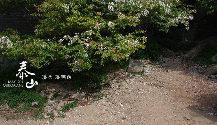taishan_019.jpg