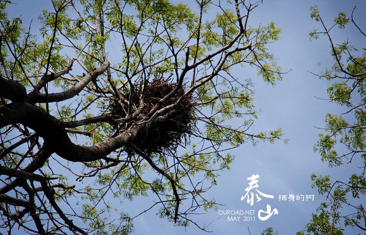 taishan_006.jpg