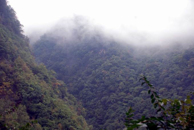 С dsc_0074.jpg