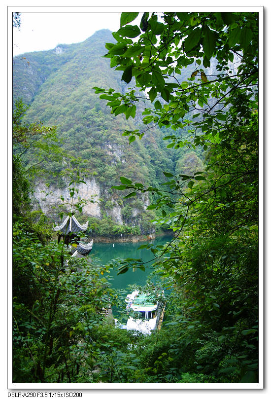 dsc00110.jpg