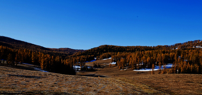 img_9170.jpg