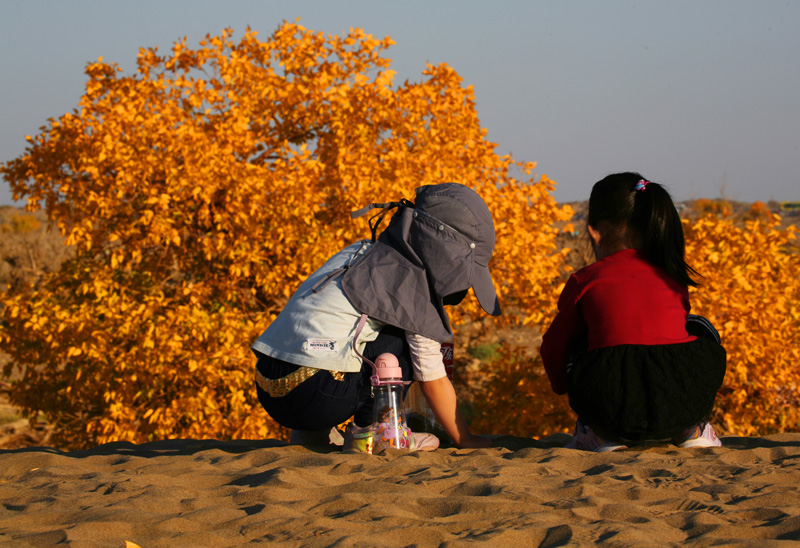 ɳĮ1.jpg