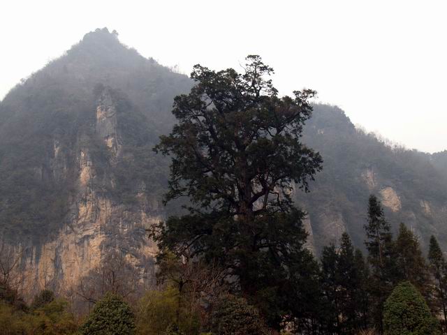 С p2076228.jpg