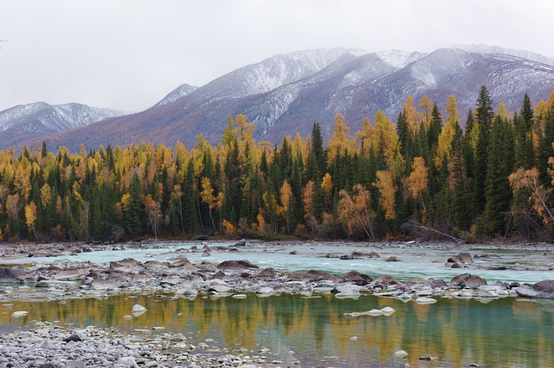 ½2 (738)1.jpg