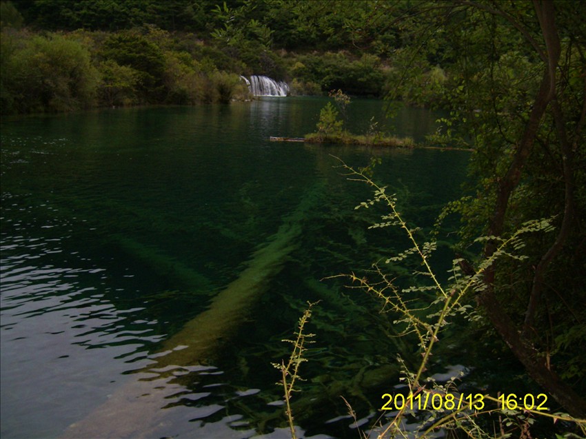 pic_0073.jpg