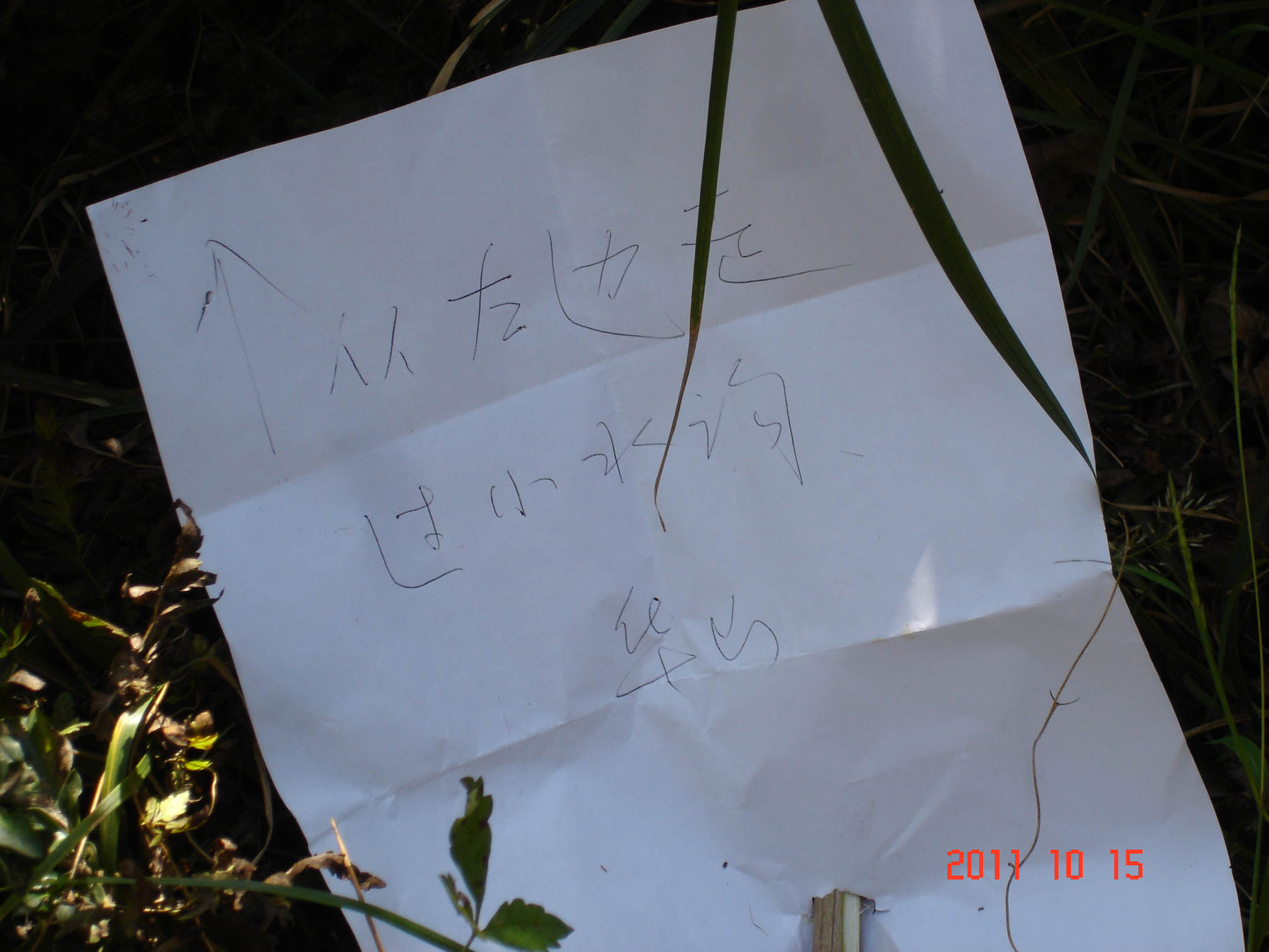 dsc00328-1.jpg