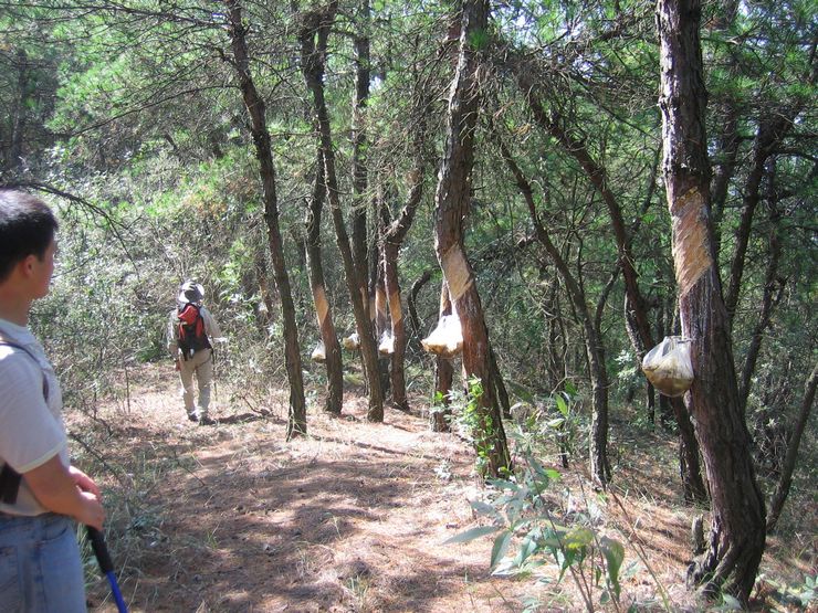 20111015 010.jpg