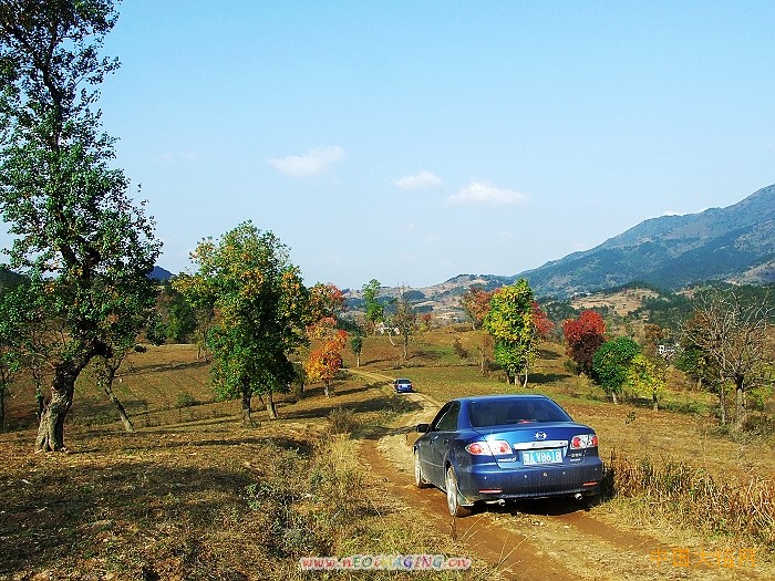 2010110915255962.jpg