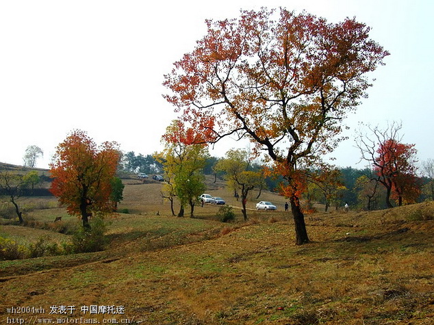20071111204517_6f9vnqcskf8r.jpg