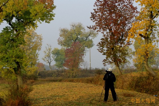 2010110915255838.jpg