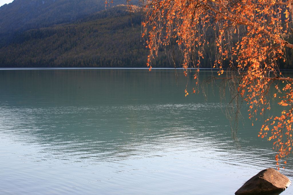 img_3466.jpg