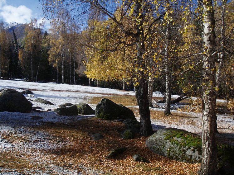 p1016463.jpg