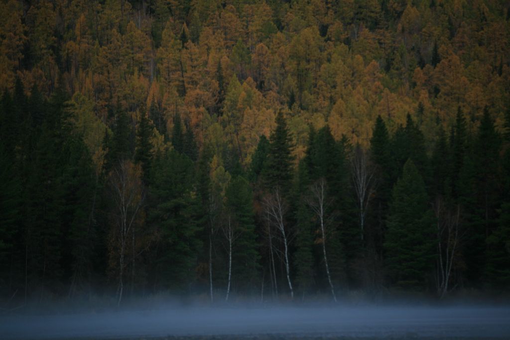 img_3487.jpg