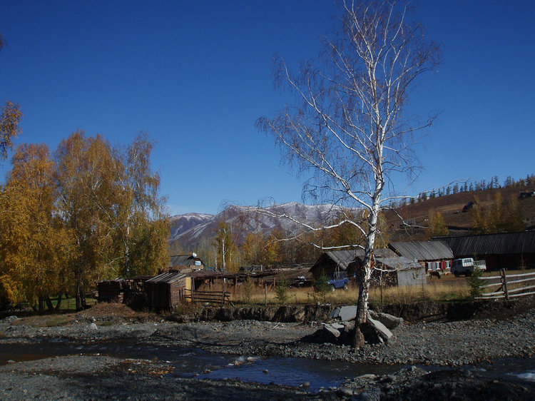 p1016501.jpg