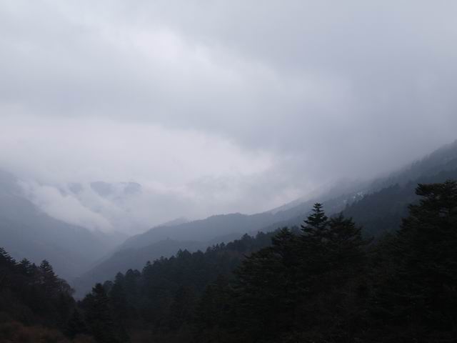 С p4087293.jpg