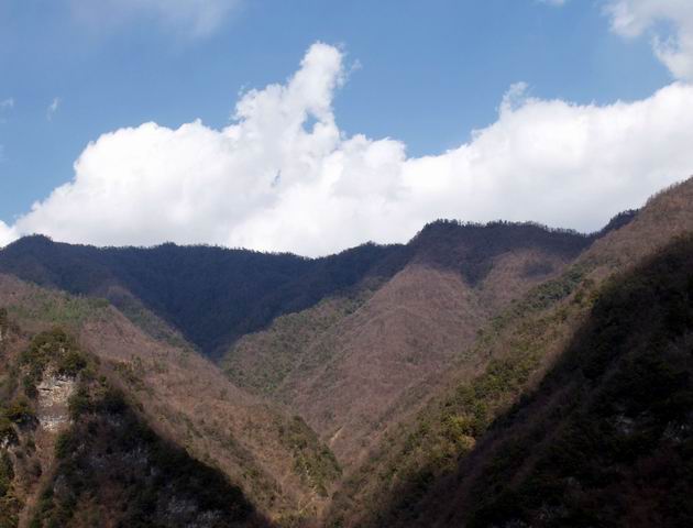 С p3287163.jpg