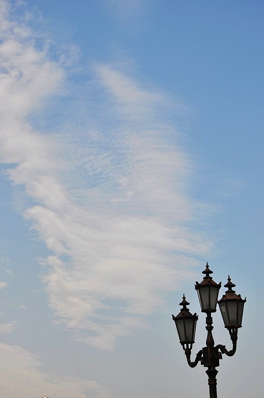 dsc_0470.jpg