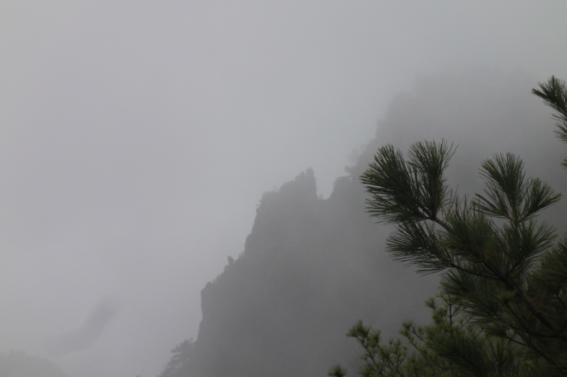 dsc06812.gif