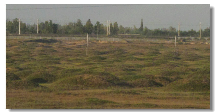  815.jpg