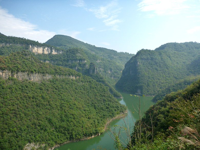 p1080601_.jpg