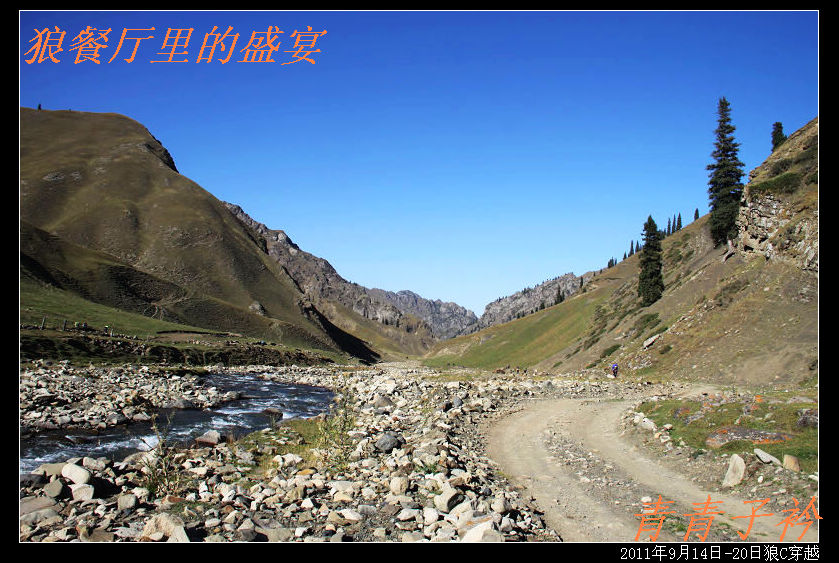 img_8478.jpg
