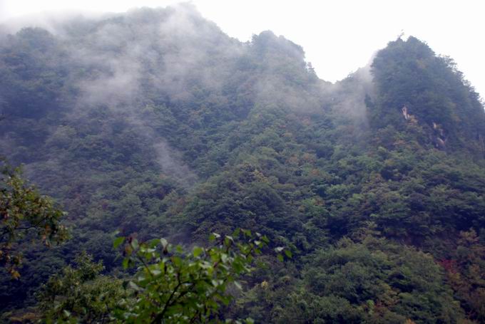 С dsc_0075.jpg