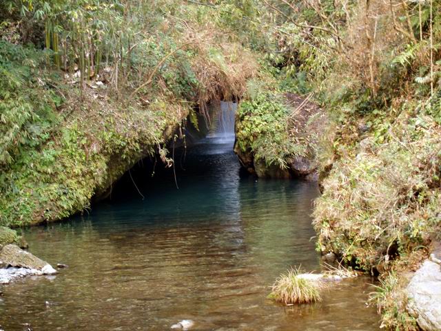 С p2055999.jpg