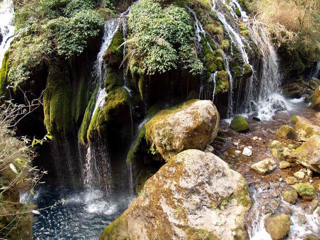 С p2056009.jpg
