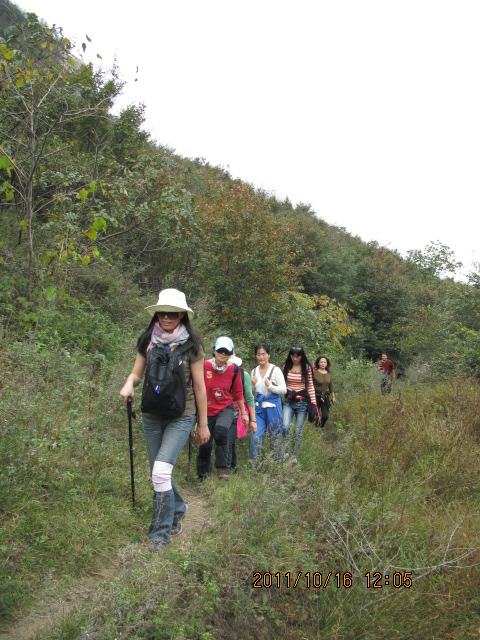 img_1950.jpg