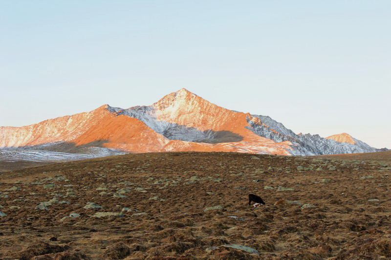 ½2 (834).jpg