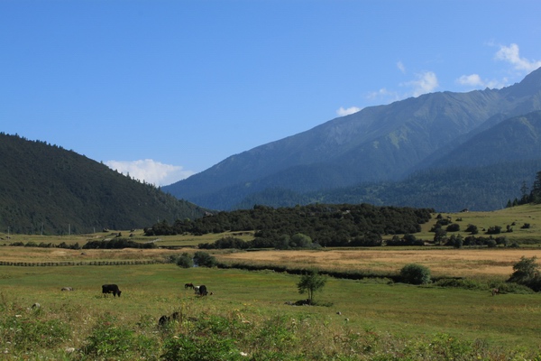 2011825916λ֮- 691.jpg