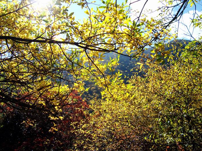 dsc09940.jpg