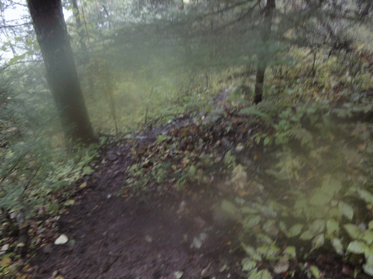 dsc06833.gif