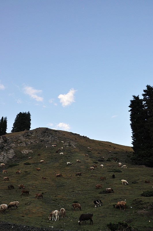 dsc_0869.jpg