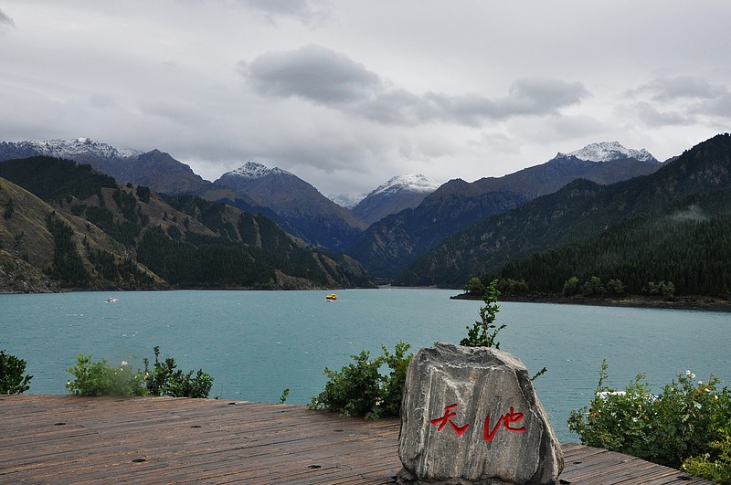 dsc_0203.jpg