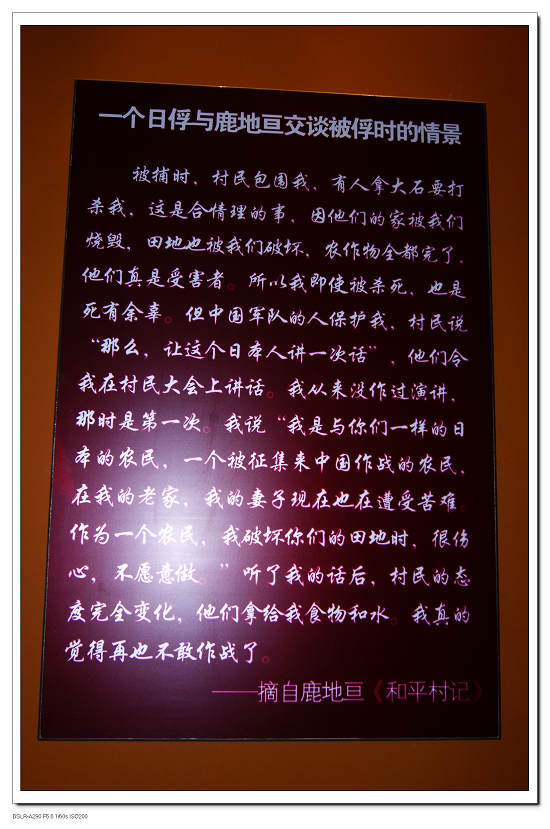 dsc00234.jpg