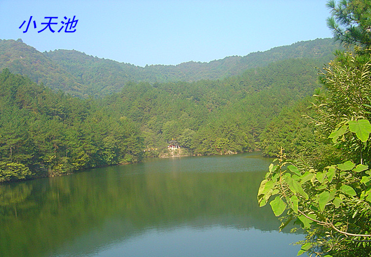 dsc02679_.jpg