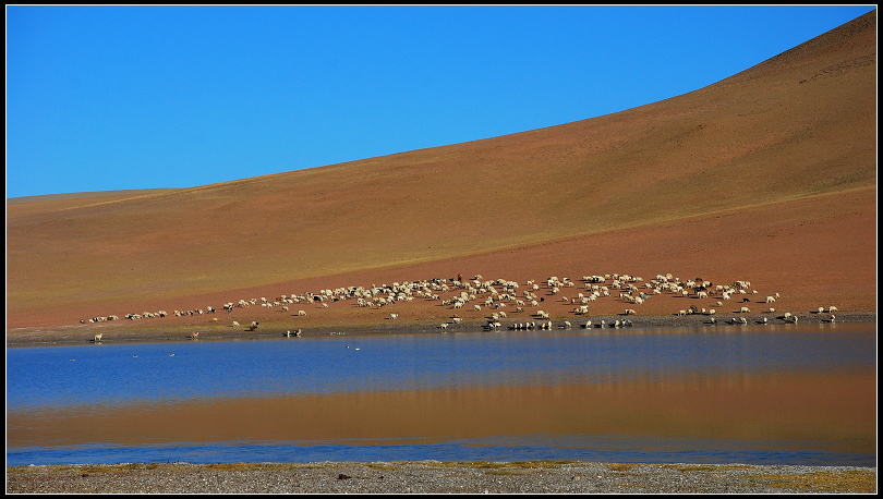 dsc_0270.jpg