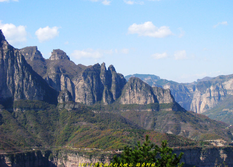 201110ʯ幵Ҷ 1216-1.jpg