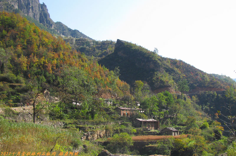 201110ʯ幵Ҷ 168-1.jpg