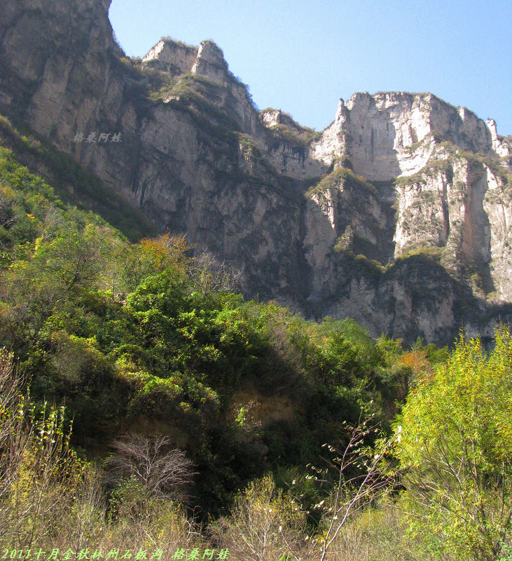 201110ʯ幵Ҷ 176.jpg