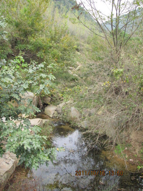 ca0pi78d.jpg