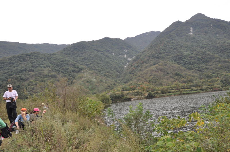 http_imgloadca1u12mt.jpg