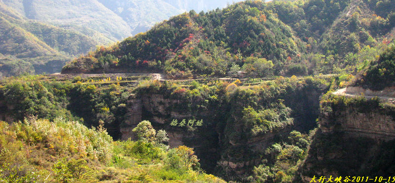 201110ʯ幵Ҷ 458-11.jpg